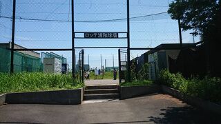 ロッテ浦和球場