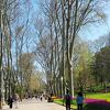 いかにもヨーロッパの公園、チューリップがきれい。