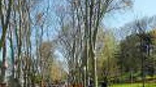 いかにもヨーロッパの公園、チューリップがきれい。