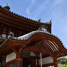 右近の橘が少し見える