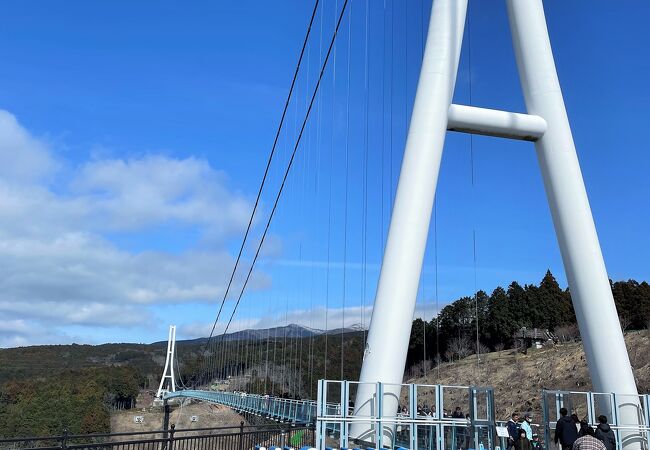 三島スカイウォーク クチコミ・アクセス・営業時間｜三島