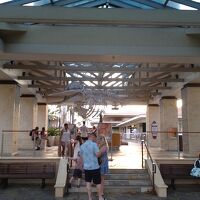 ホエラーズ ビレッジ