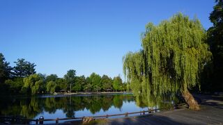 大正5年に開園された旭川では一番古い公園