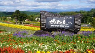 美瑛では中堅どころの花の丘