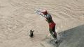 ヴァルダル川 (アクシオス川)