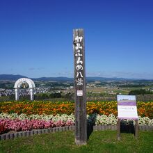 日の出公園ラベンダー園