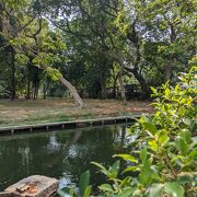バンコク、新市街地の中心に有る公園
