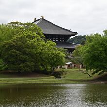 大仏池 クチコミ・アクセス・周辺情報｜奈良市 - フォートラベル