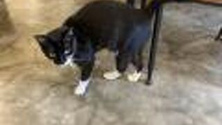 生活在他方 夜猫店