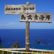 おっかなびっくり眺めました
