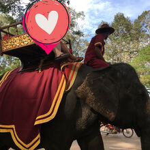 アンコールトムの象乗り