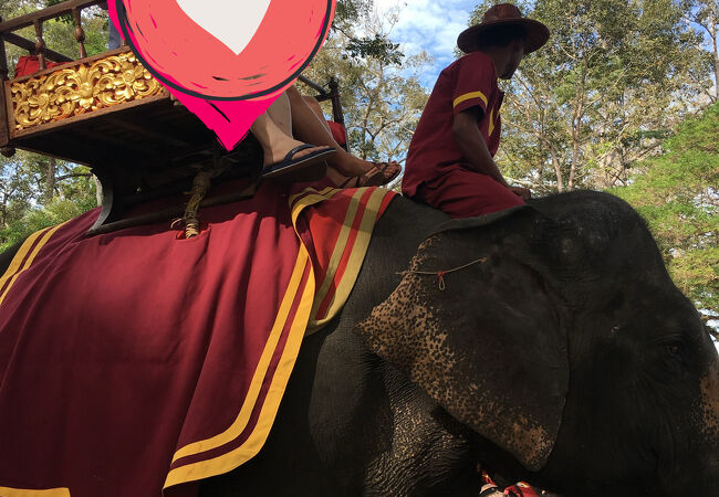 アンコールトムの象乗り