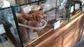 チクテベーカリー