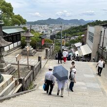 金刀比羅宮御本宮展望台