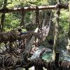 秘境、祖谷の蔓橋！