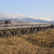 バリアフリーの高架木道　クマ除けに電流を流しています。