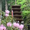 真打ち登場