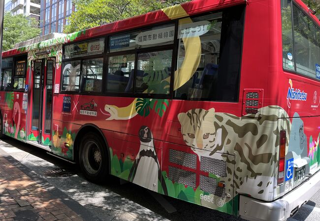 路線バス (西鉄バス)