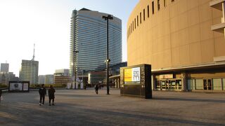 間近で見れて良かった