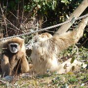 ときわ動物園 ときわ動物園（公式） (@tokiwazoo) / X