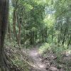 横浜に残る里山　ハイキングコースもあります