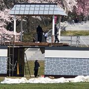 天童桜まつり「人間将棋」