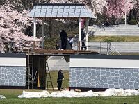 天童桜まつり「人間将棋」