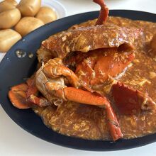 ニュートン フードセンター