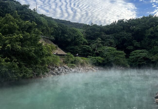 散策路が整備されていました