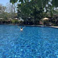 水面がキラキラしててきれい