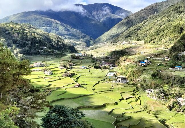 ハパオ ライステラス