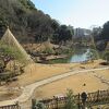 無料で入れる美しい日本庭園です