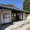 ボケの花が咲き始めていました