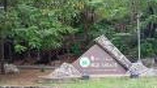 亀山公園