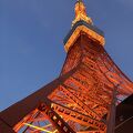 ２０年ぶりの東京タワー