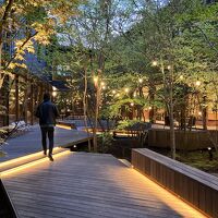 朝もでしたが、陽が落ちた頃の中庭がとても素敵