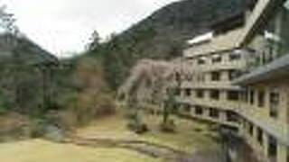 箱根ホテル小涌園