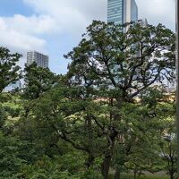 客室内からの眺望