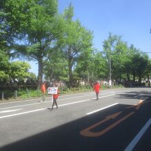 横浜山下公園通り