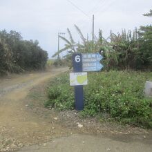 田皆岬