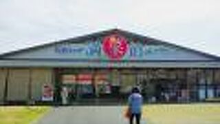 旬鮮プラザ満菜館