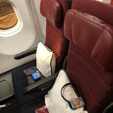 エコノミーの座席はこんな感じ