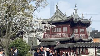 広い庭園　とにかく人が多いです