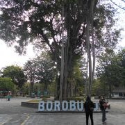 ボロブドゥール寺院のある公園
