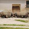 実はクロサイの聖地です