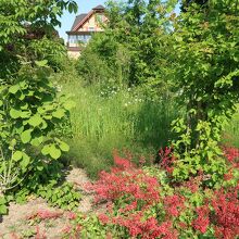 アルペンパーク