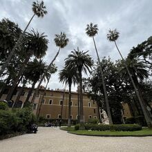 ヴェネツィア宮殿 (博物館)