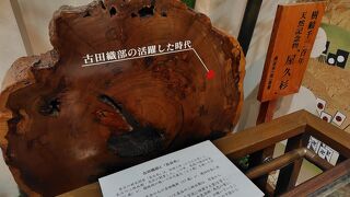 道の駅 織部の里もとす