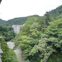 ロビーの外のテラスの左側の眺めです。