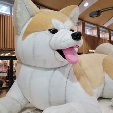 秋田駅